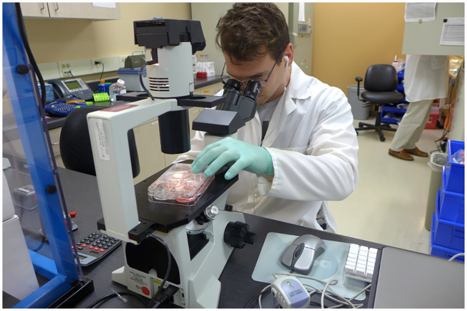 Ben Dungar examines neural cells in the BrainXell lab