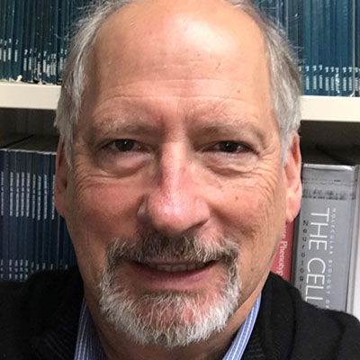 Robert Berman, PhD