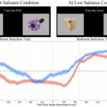 Saffran Slide of the Week 2018