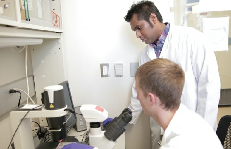 Saha lab