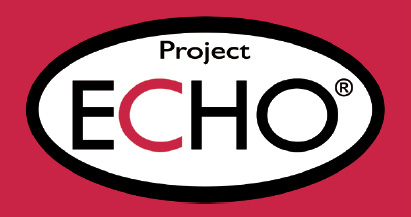 echo logo