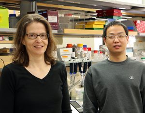 Tracy Hagemann, PhD, and Yunlong Tao, PhD