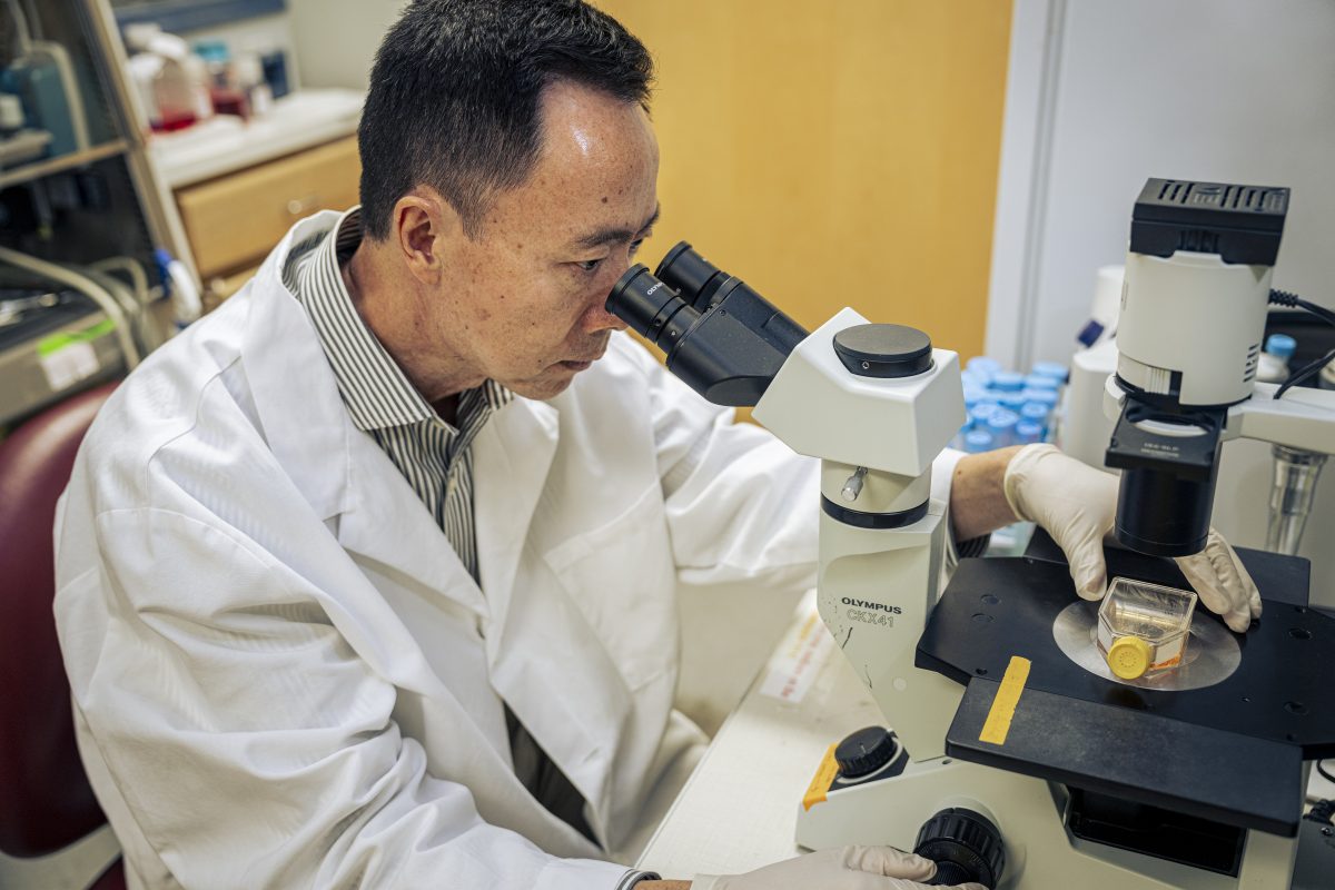 Waisman investigator is only steps away from creating a potential