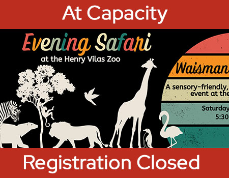 50th Anniversary Evening Safari at the Zoom