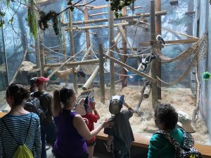 Evening at the Zoo