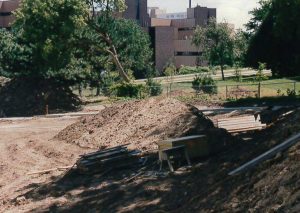 Discovery Garden